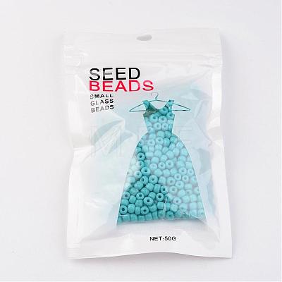 6/0 Baking Paint Glass Seed Beads X-SEED-S003-K10-1