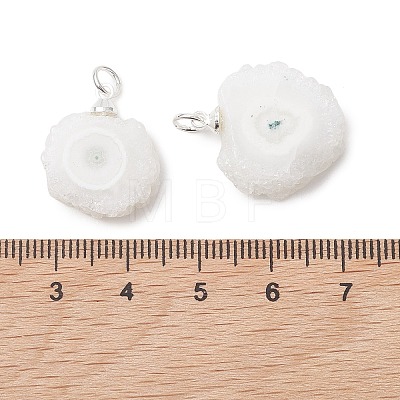 Natural Sunflower Druzy Agate Slice Pendants PALLOY-JF05234-1