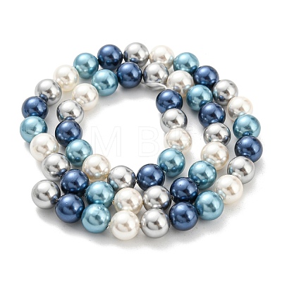 Electroplated Natural Shell Beads Strands SHEL-F008-03B-07-1