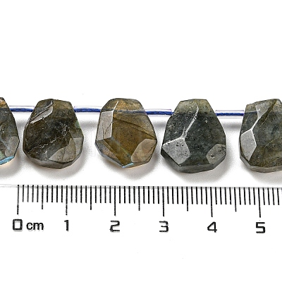 Natural Labradorite Beads Strands G-Z040-A03-01-1