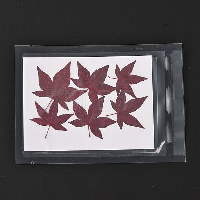 Maple Leaf Embossing Dried Flower DIY-K032-63B-1