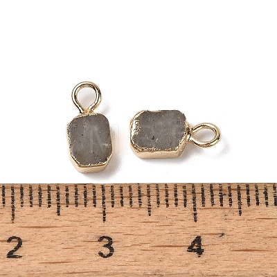 Natural Labradorite Rectangle Charms G-Q169-07G-11-1