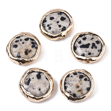 Natural Dalmatian Jasper Beads G-S359-112-1