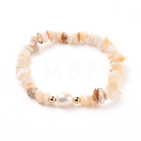 Chip Natural Shell Stretch Beaded Bracelets BJEW-JB05727-01-1