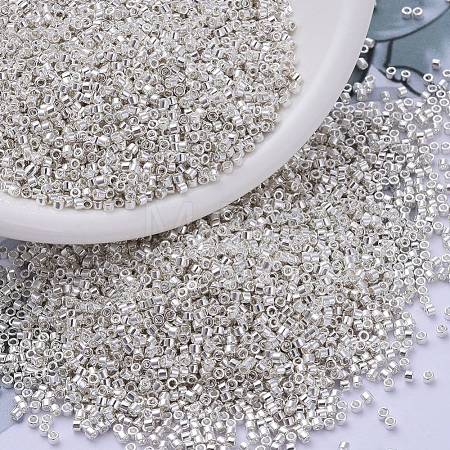 MIYUKI Delica Beads SEED-X0054-DB0551-1