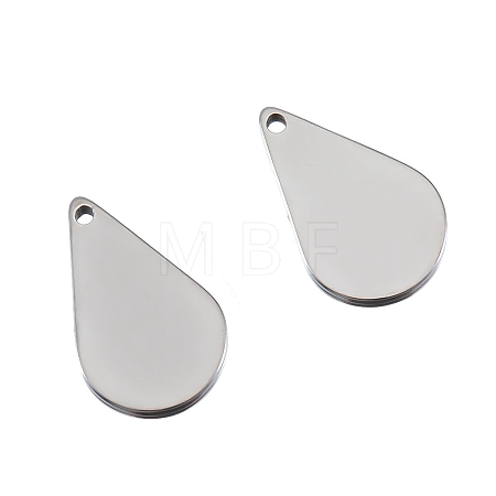 Stainless Steel Charms PW-WG31F01-02-1