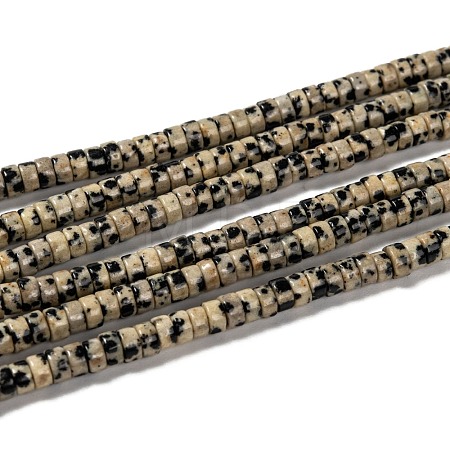Natural Dalmatian Jasper Beads Strands G-L528-10-1