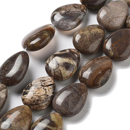 Natural Wealth Stone Beads Strands G-P528-L04-01-1