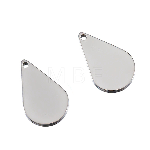 Stainless Steel Charms PW-WG31F01-02-1