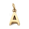 304 Stainless Steel Charms SA-CBABF3F-01G-A-1