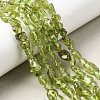 Natural Peridot Beads Strands G-H346-A01-01-1