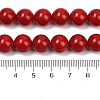 Shell Pearl Beads Strands BSHE-K015-10mm-01-4