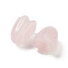 Natural Rose Quartz Beads G-A222-03C-2