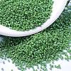 MIYUKI Delica Beads SEED-MY11-DB0163-1
