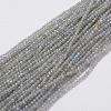 Natural Labradorite Beads Strands LS-G-E347-14-1