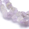 Natural Amethyst Beads Strands G-P332-40-2