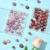 40Pcs 20 Styles Resin & Glass European Beads RPDL-FS0001-03-8