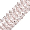 Transparent Glass Beads Strands GLAA-P076-01A-05-1