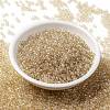 MIYUKI Round Rocailles Beads X-SEED-G008-RR0161-2