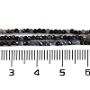 Natural Sapphire Beads Strands G-P553-G07-01-5