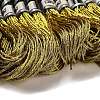 10 Skeins 12-Ply Metallic Polyester Embroidery Floss OCOR-Q057-A06-2