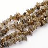 Natural Labradorite Chips Beads Strands X-F069-2
