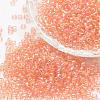 8/0 Round Glass Seed Beads SEED-J011-F8-L176-1