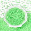 Transparent Inside Colours Glass Seed Beads SEED-T007-11I-1