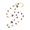 Natural Amethyst Chip Beaded Necklace for Girl Women NJEW-JN03708-01-1