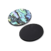 Natural Paua Shell Cabochons SHEL-WH0002-08A-2