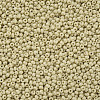 12/0 FGB Grade A Round Glass Seed Beads SEED-N001-A-1033-2