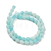 Synthetic Shell Dyed Carved Beads Strands SHEL-K007-08A-02-2