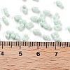 Baking Paint Glass Seed Beads X1-SEED-A033-05R-4
