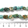 Natural Hubei Turquoise Beads Strands X-G-P497-01C-51-5