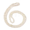 Electroplate Glass Faceted Rondelle Beads Strands EGLA-D020-3x2mm-05-A-3