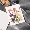 Pressed Dried Flowers DIY-YWC0001-99-5