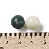 Natural Bodhi Root Beads FIND-Z037-01B-3