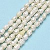 Natural Cultured Freshwater Pearl Beads Strands PEAR-J006-08B-01-2