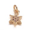 Brass Micro Pave Cubic Zirconia Pendants ZIRC-K070-41G-1