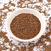 MIYUKI Delica Beads SEED-X0054-DB0505-2
