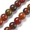 Natural Multi-Color Agate Beads Strands G-A261-B22-14mm-2