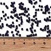 Baking Paint Glass Seed Beads SEED-S042-05B-79-4