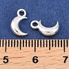 Alloy Pendants LS-FIND-H063-01B-S-3