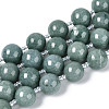 Natural Jadeite Beads Strands G-N353-07E-01-2