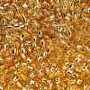 TOHO 8/0 Round Beads SEED-TR08-0022A-3