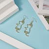 Zinc Alloy Hollow Out Cat Dangle Earrings EJEW-JE05148-01-2