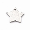 304 Stainless Steel Pendants STAS-F271-04A-P-2