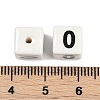 Handmade Porcelain Beads LS-PORC-R003-07-00-3