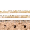 Natural Trochid Shell/Trochus Shell Beads Strands BSHE-T014-52A-02-4