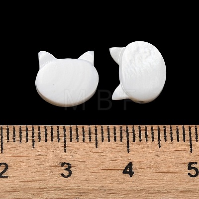 Natural Freshwater Shell Beads SHEL-H003-04-1